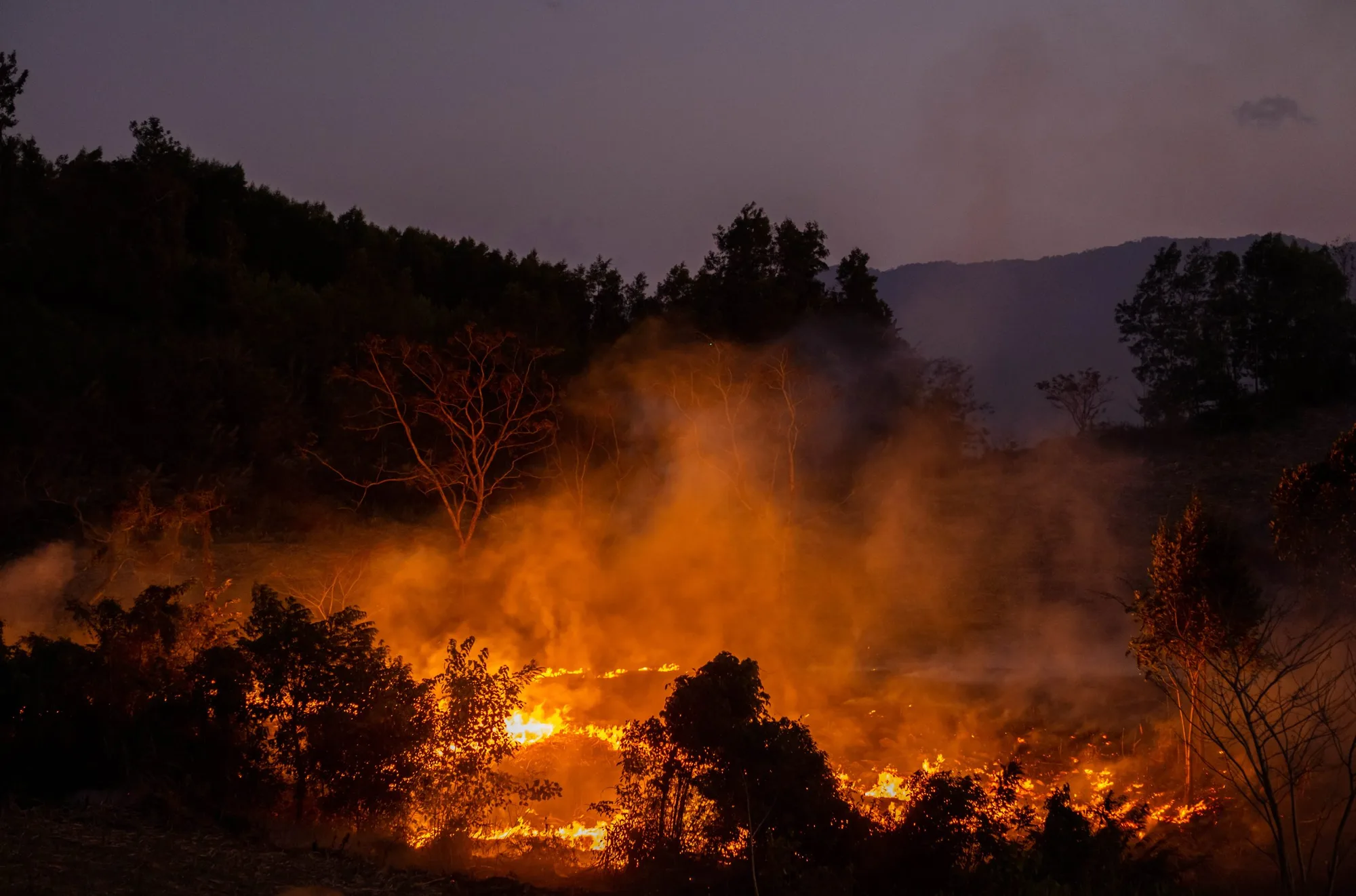 forest fire at nighttime caused by the Texas Panhandle Wildfires that have been spreading across acres of land.