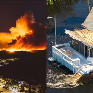 Hurricane Katrina and Los Angles fires with devastating damage from natural disasters and lack of emergency mass notification tecnology.