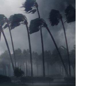 Hurricane in need of emergency management that uses early warning systems that can integrate in artificial intelligence and machine learning software. 