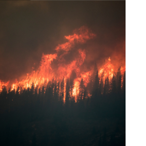 California Wildfire Dixie causing havoc andin need of a early warning system that can integrate in artificial intelligence and machine learning life safety capabilities.