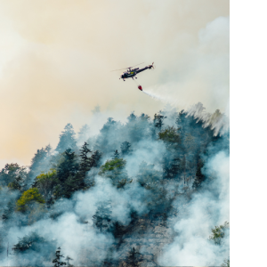 California Wildfire Dixie causing havoc andin need of a early warning system that can integrate in artificial intelligence and machine learning life safety capabilities.