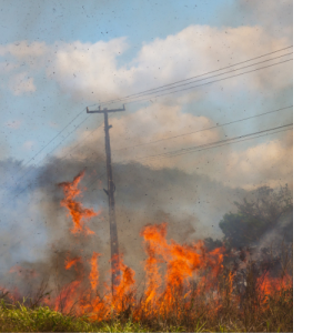 Burned Power/Cellular Lines in Butte County and Paradise in California during the Park Fires and Camp Fires that have happened past couple of years.