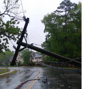 City of Clearwater Hurricane Damage Report for life and community safety.