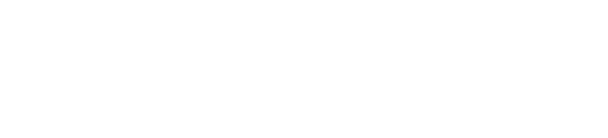 Fortress Security