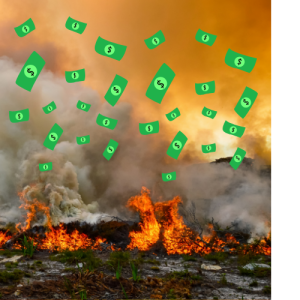 Economic Cost of Wildfire from the lack of preparedness and early warning prevention.